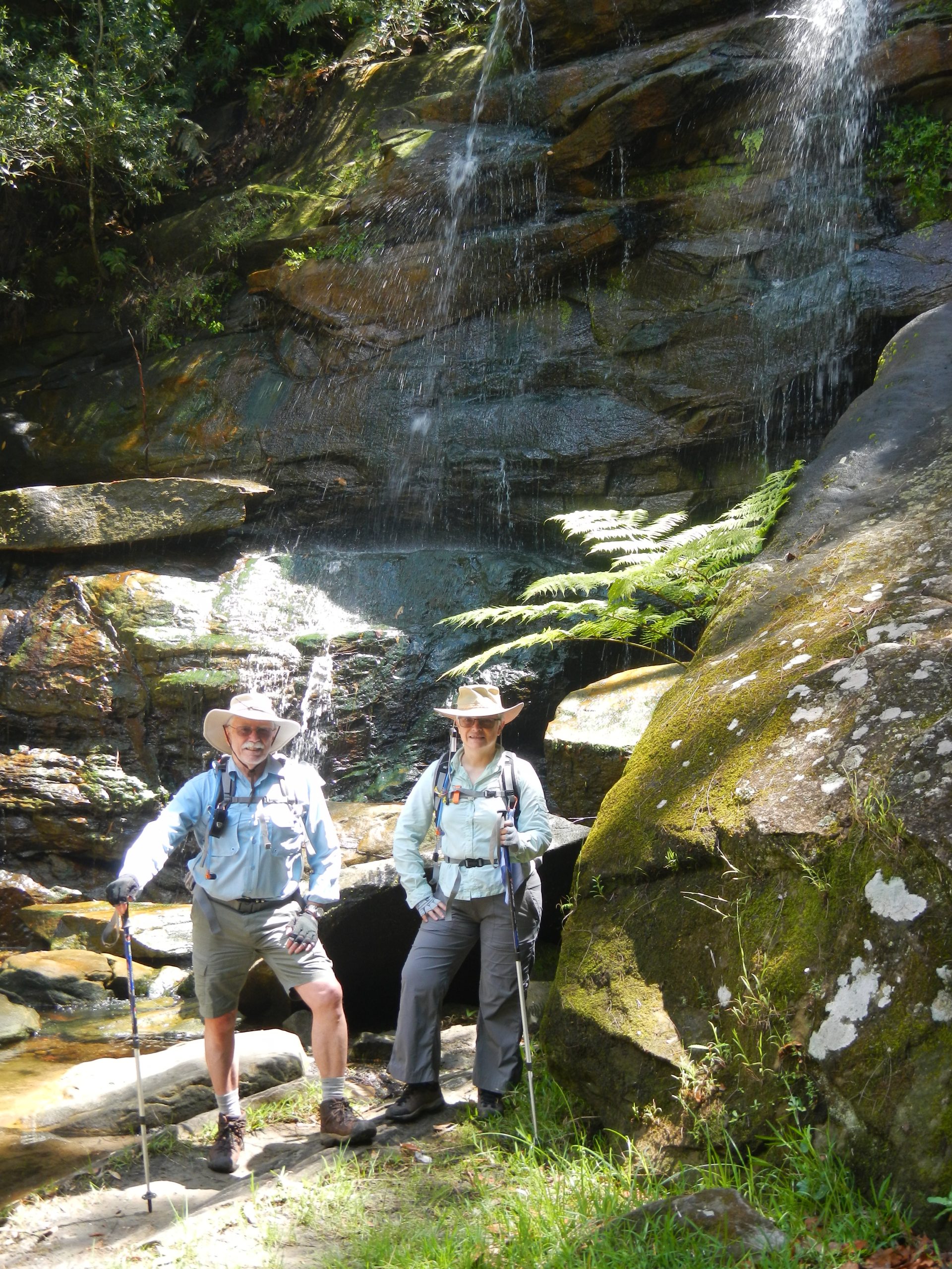 Student story: Celebrating 100 bushwalks with Macquarie Community College