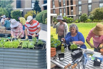 People from Different Communities gardening together