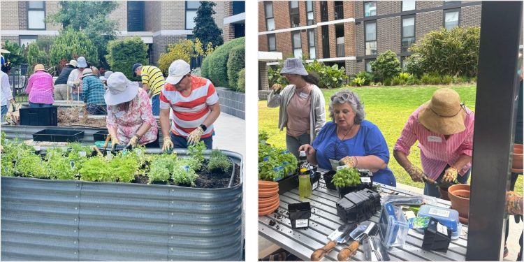 People from Different Communities gardening together