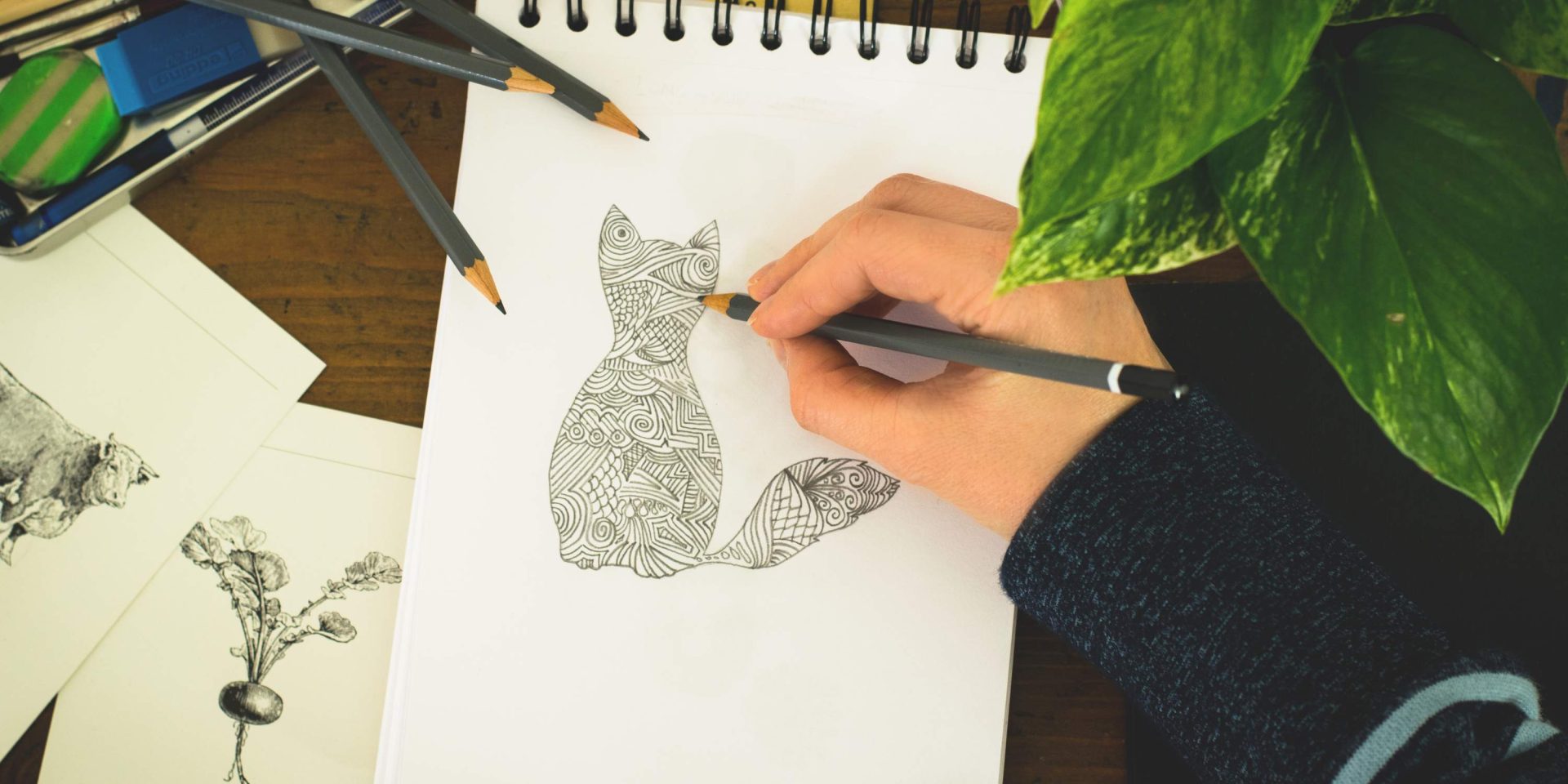 cat drawing with zectangle techinique
