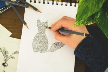 cat drawing with zectangle techinique